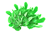 Shape ｜ Object ｜ 3D ――Background ｜ Free material ――Full HD size: 1,920 × 1,200 pixels