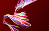 Red ｜ Pattern ｜ Gradient --Background ｜ Free material --Full HD size: 1,920 × 1,200 pixels