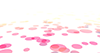 Circle ｜ Innumerable ｜ Infinity-Many --Background ｜ Free material ―― 4K size: 4,096 × 2,160 pixels