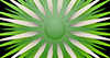 White ｜ Green ｜ Sun ――Background ｜ Free material ―― 4K size: 4,096 × 2,160 pixels