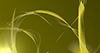 Yellow ｜ Carp ｜ Gradation --Background ｜ Free material ―― 4K size: 4,096 × 2,160 pixels