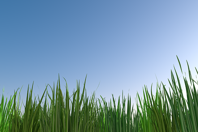 Grace / Spotlight / Light / Celebration-Background / Photos / Wallpapers / Desktop Pictures / Free Backgrounds-Image Size: 3,000 x 2,000 pixels