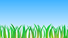 Grass | Blue Sky --Background | Free Material --Full HD Size: 1,920 x 1,080 pixels