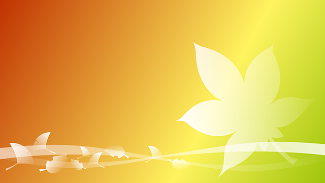 Sakura pattern ｜ Gradient --Background / Photo / Wallpaper / Desktop picture / Free background --Full HD size: 1,920 × 1,080 pixels