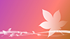 Sakura pattern ｜ Gradation ――Background ｜ Free material ――Full HD size: 1,920 × 1,080 pixels