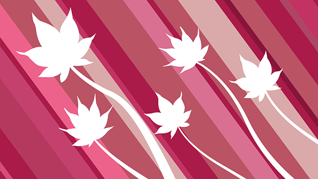 Red | Sakura | Pattern --Background / Photo / Wallpaper / Desktop picture / Free background --Full HD size: 1,920 x 1,080 pixels