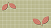 Leaf ｜ Nature ――Background ｜ Free material ――Full HD size: 1,920 × 1,080 pixels